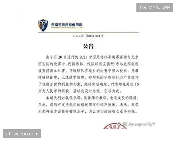 红牌停赛规则详解及累计停赛判罚标准解析