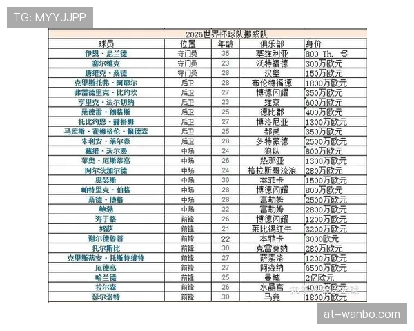 世界杯I组球队身价排名分析
